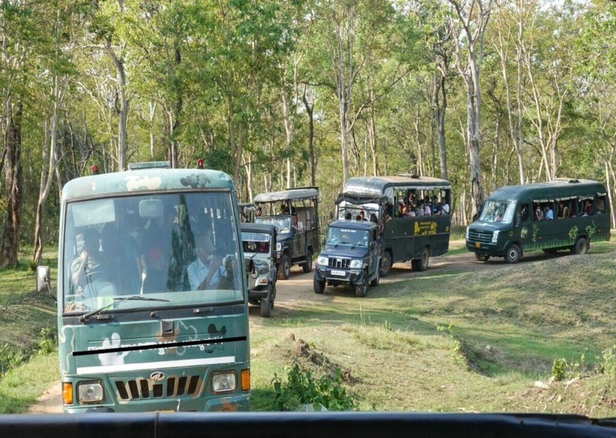 Safari in Jim Corbett