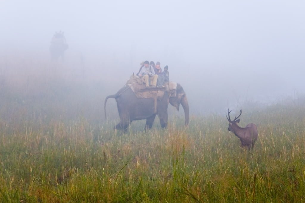 Jim Corbett National Park