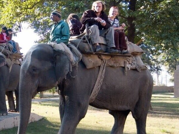 Elephant safari